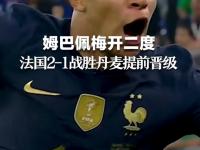 乐鱼真人体育娱乐-法国客场摧城拔寨，丹麦艰难取胜