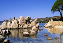 热火朝天的足球盛事，挑战与激情同在