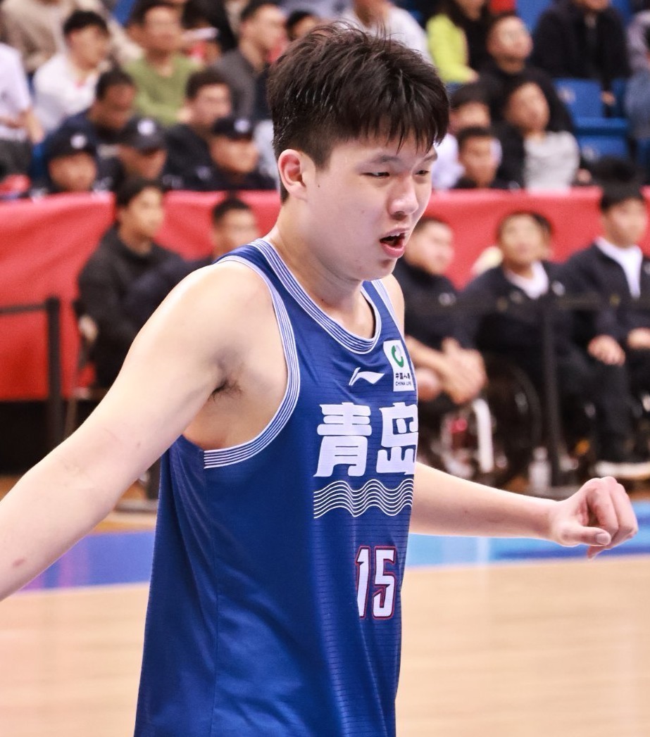 关于常规赛15分10.8篮板，杨瀚森23-24赛季精彩集锦的信息