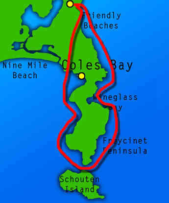 塔斯马尼亚联球迷现场助威，激发球队夺冠斗志的简单介绍