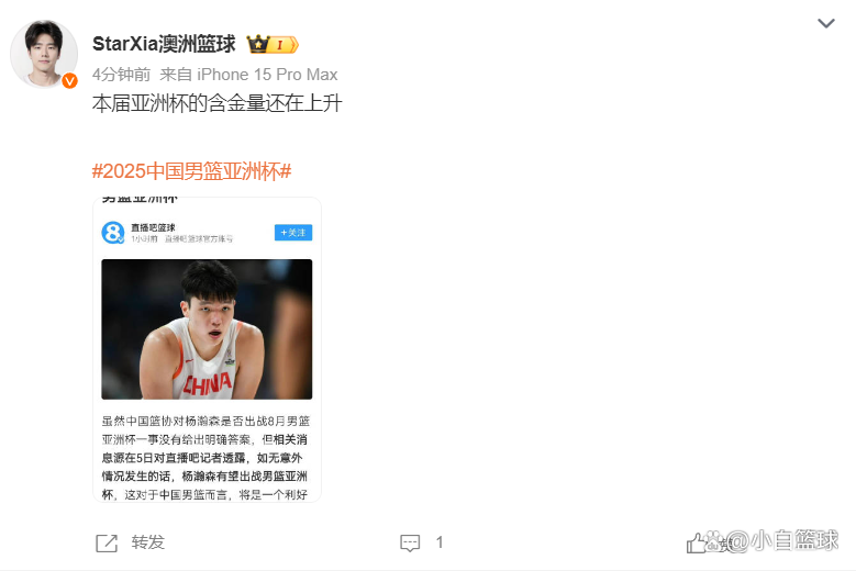 包含曝杨瀚森最后一场NBA夏联不打回国备战男篮亚洲杯的词条
